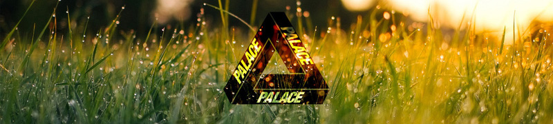 Palace Skateboards Brand