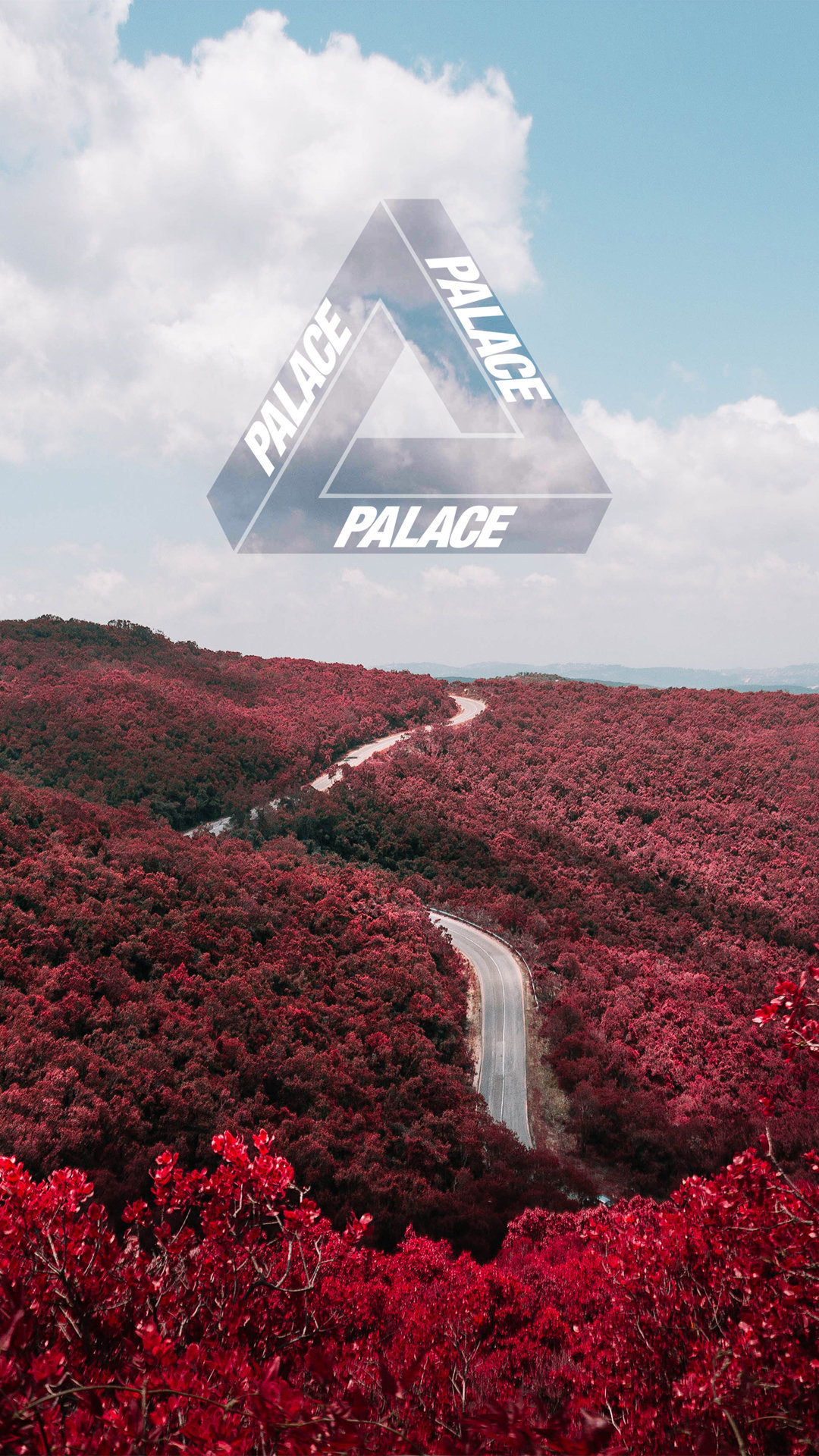 Palace Brand Wallpaper - CopEmLegit1080 x 1920