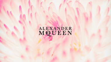 Alexander McQueen Wallpaper