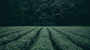 Raf Simons Wallpaper